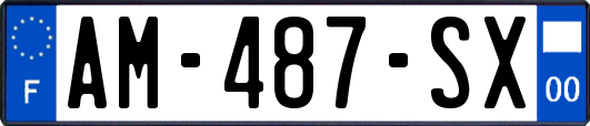 AM-487-SX