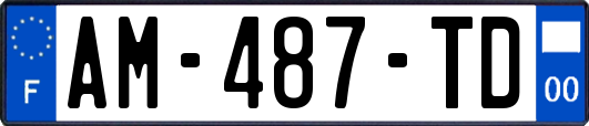 AM-487-TD
