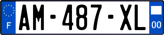 AM-487-XL