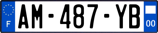 AM-487-YB