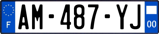 AM-487-YJ