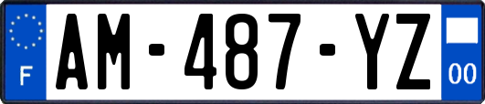 AM-487-YZ