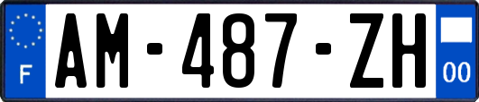 AM-487-ZH