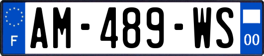 AM-489-WS