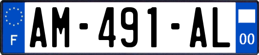 AM-491-AL