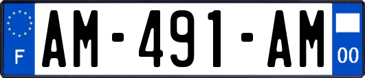 AM-491-AM