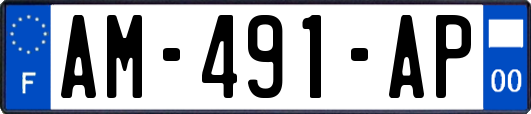 AM-491-AP