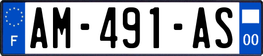 AM-491-AS