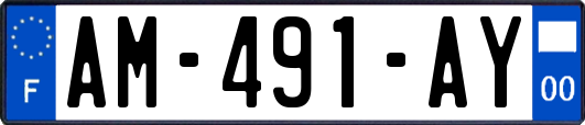 AM-491-AY