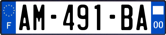 AM-491-BA