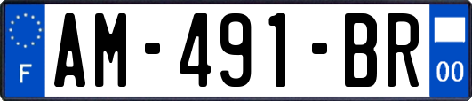 AM-491-BR