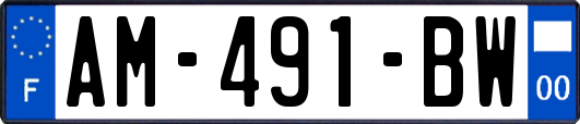 AM-491-BW