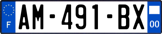 AM-491-BX