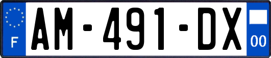 AM-491-DX