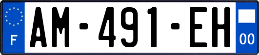AM-491-EH
