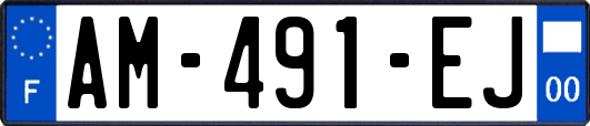 AM-491-EJ