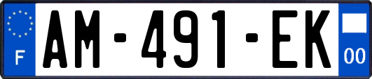 AM-491-EK