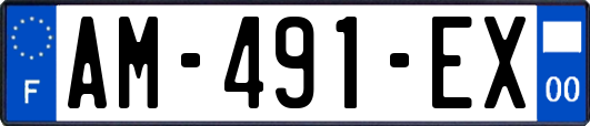 AM-491-EX