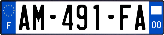 AM-491-FA