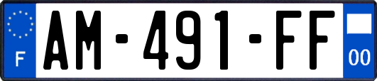 AM-491-FF