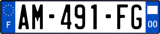 AM-491-FG