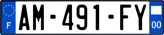 AM-491-FY