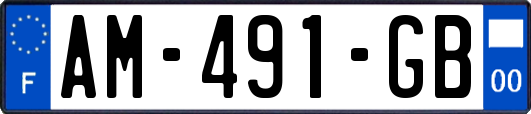 AM-491-GB