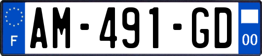 AM-491-GD