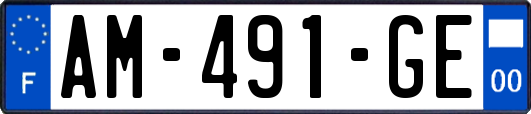 AM-491-GE