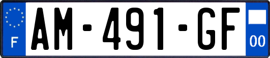 AM-491-GF