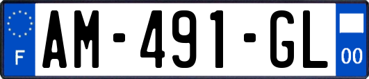 AM-491-GL