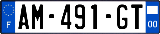 AM-491-GT