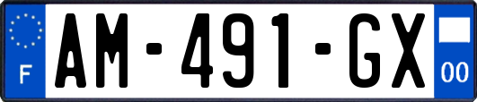 AM-491-GX