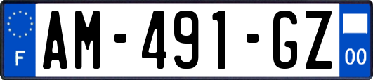 AM-491-GZ