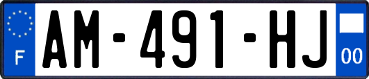 AM-491-HJ