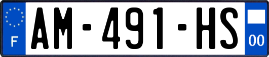 AM-491-HS