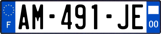 AM-491-JE
