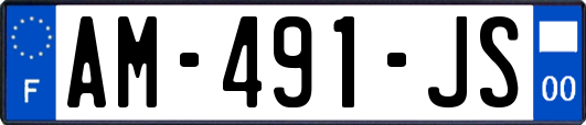 AM-491-JS