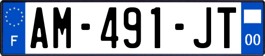 AM-491-JT