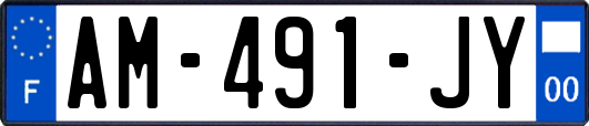 AM-491-JY