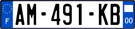 AM-491-KB