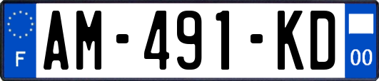 AM-491-KD