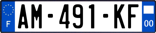 AM-491-KF