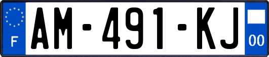 AM-491-KJ