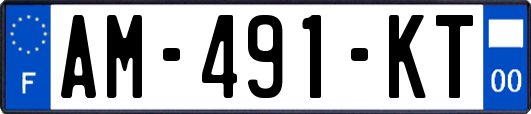 AM-491-KT
