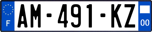 AM-491-KZ