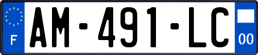 AM-491-LC