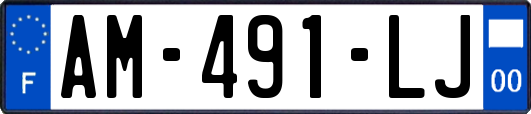 AM-491-LJ