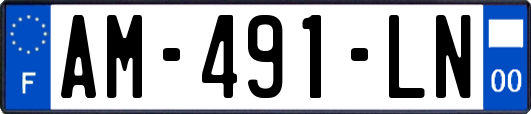 AM-491-LN