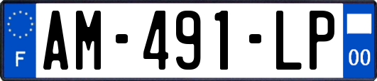 AM-491-LP
